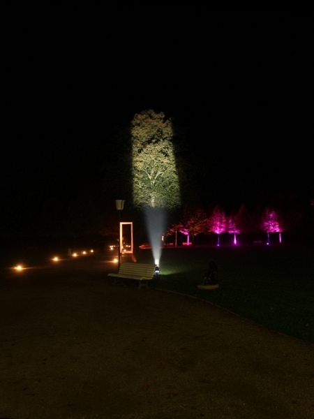 Illumina   119.jpg